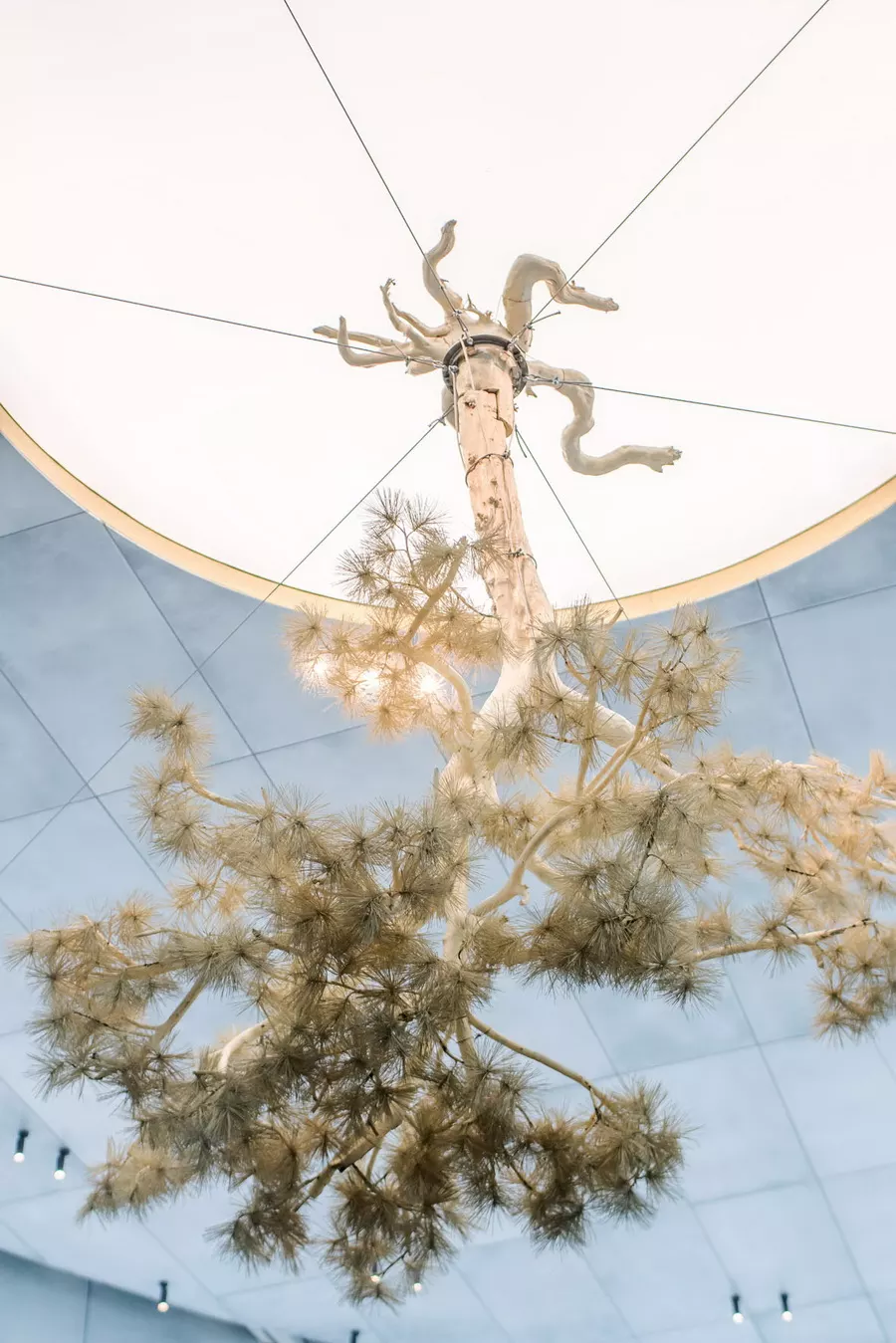 喜茶深圳金光华广场店灯光顾问